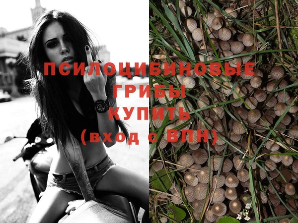 прущая мука Алзамай