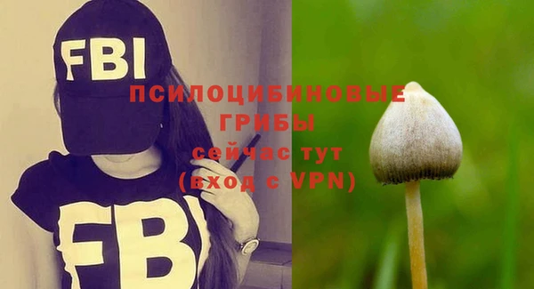 a pvp Алексин