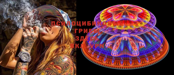спиды Абаза