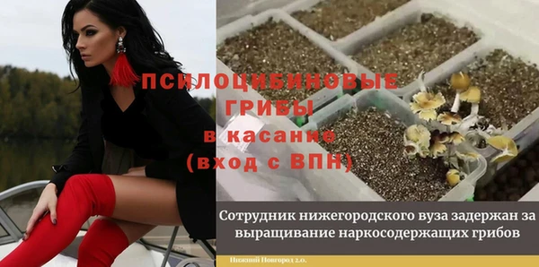 ECSTASY Абинск