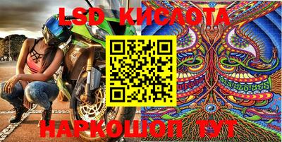 СК Малоярославец