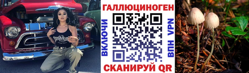 как найти закладки  Курск  Псилоцибиновые грибы Magic Shrooms 